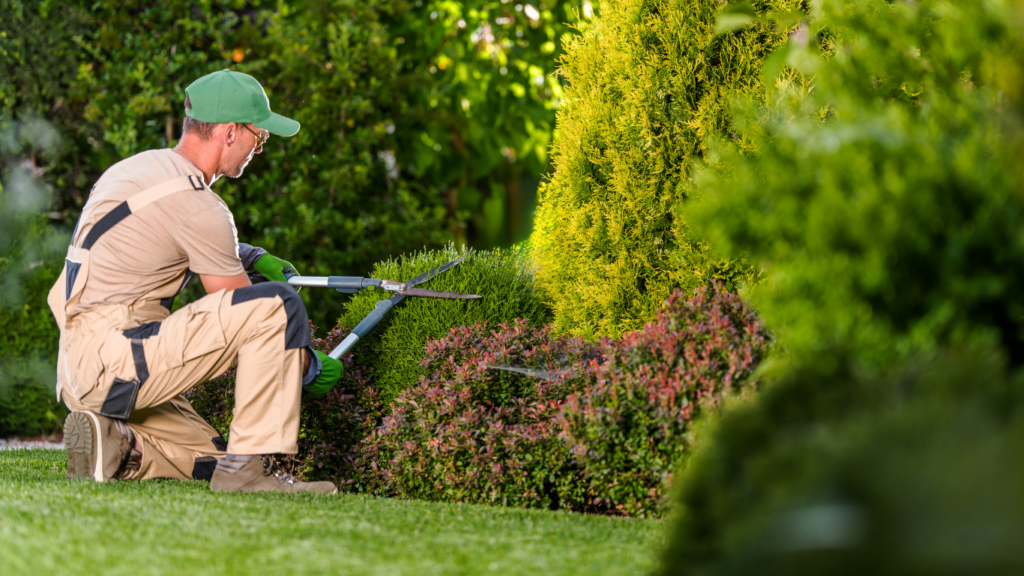 a man with a green hat and beige coveralls trimming lush green hedges.